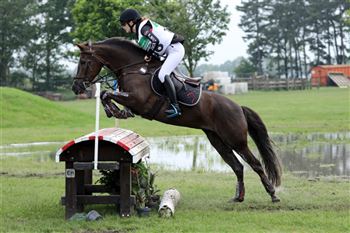 FEI (CCIP2*)  eventing pony
